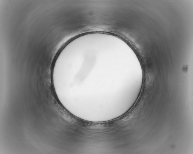 X0000091071174200709041213