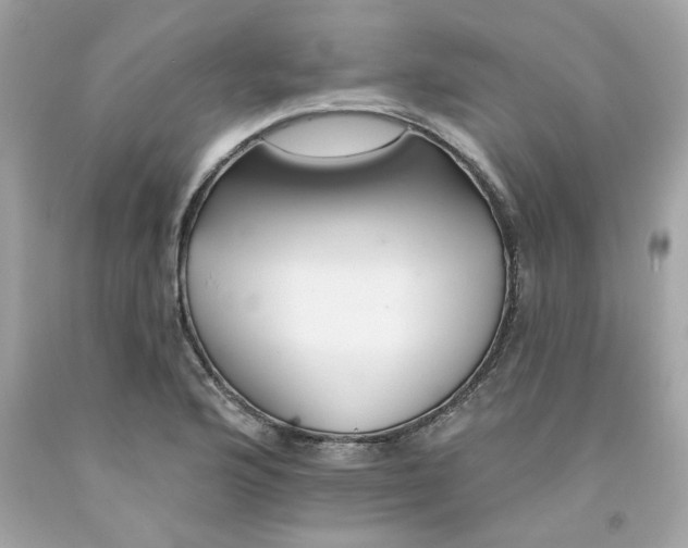 X0000091071176200709041213