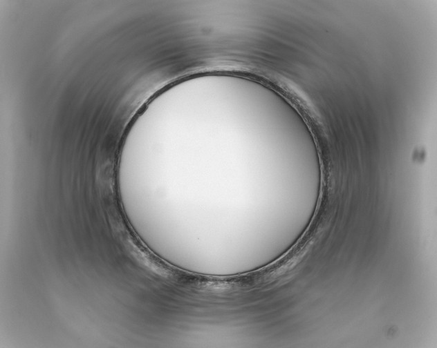 X0000091071177200709041213
