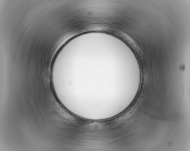 X0000091071178200709041213