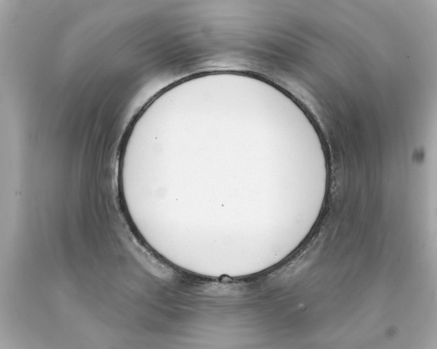 X0000091071179200709041213