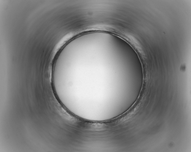 X0000091071180200709041213