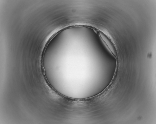 X0000091071181200709041213