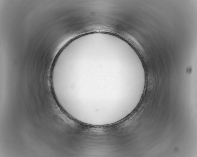 X0000091071182200709041213