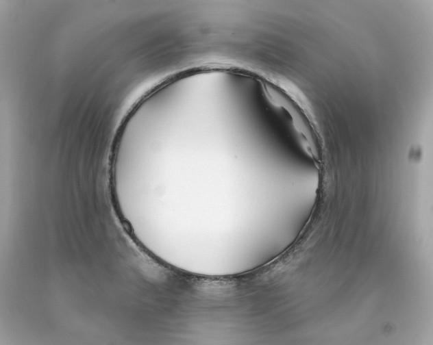 X0000091071183200709041213