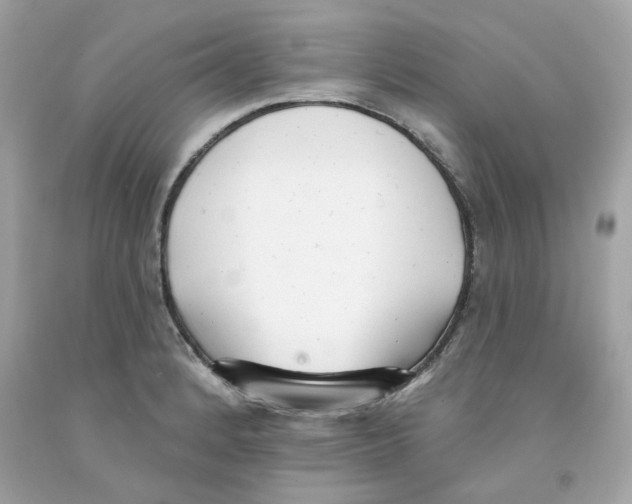 X0000091071184200709041213