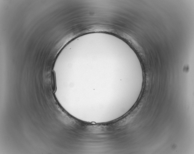 X0000091071185200709041213