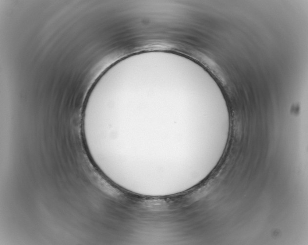 X0000091071186200709041213