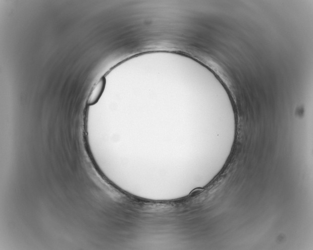 X0000091071187200709041213