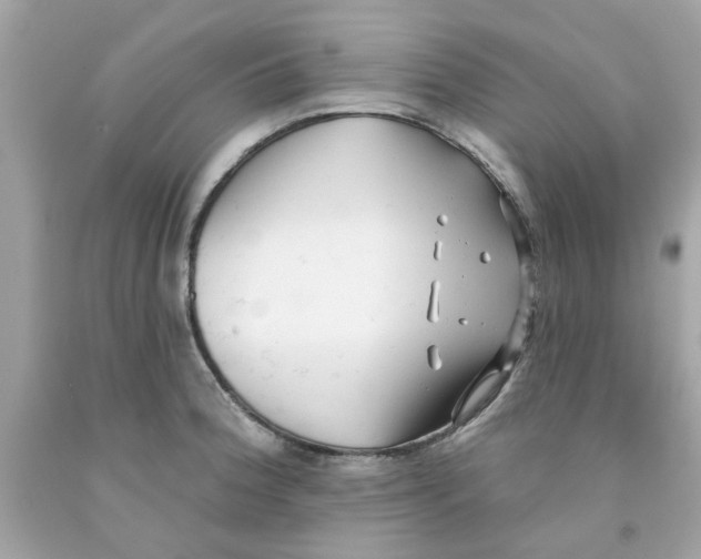X0000091071188200709041213