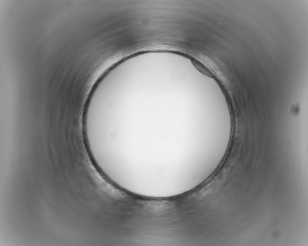 X0000091071189200709041213