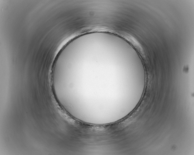 X0000091071190200709041213