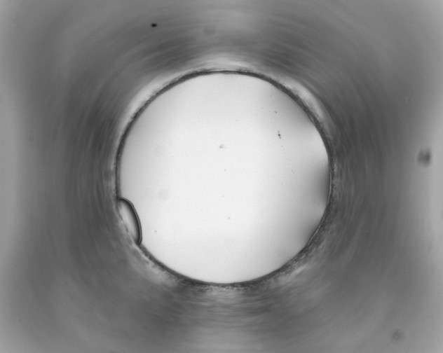 X0000091071191200709041213