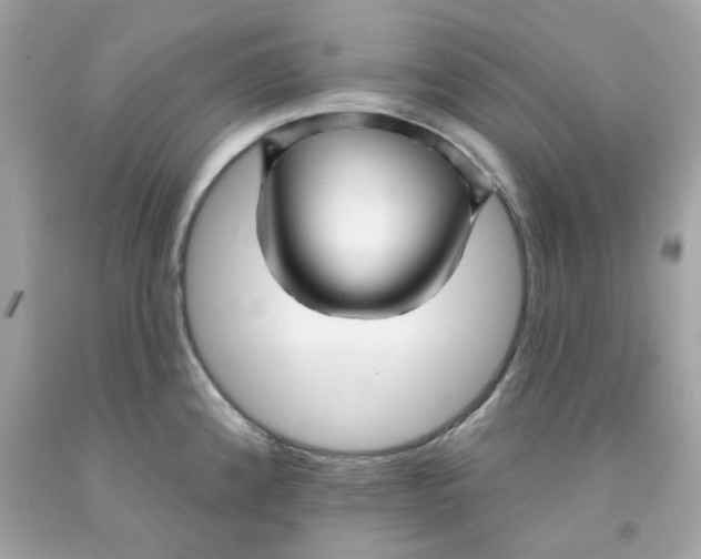 X0000091071192200709041213