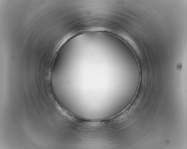 X0000091071193200709041213