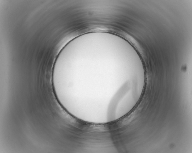 X0000091071194200709041213