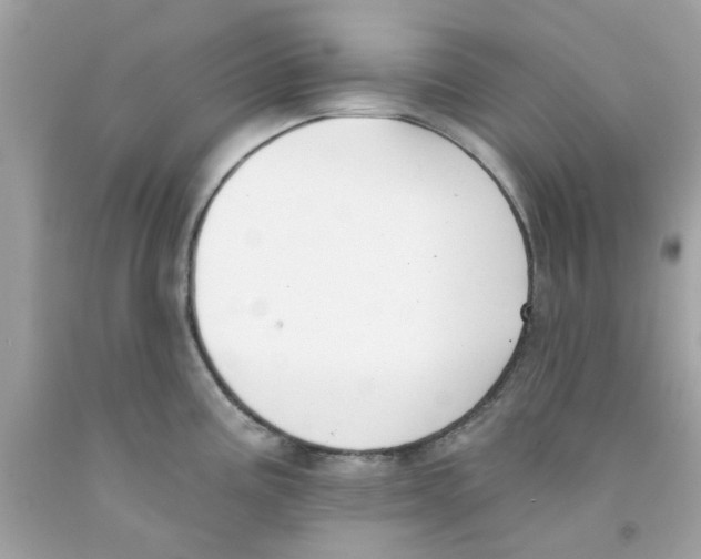 X0000091071195200709041213