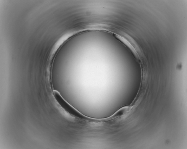 X0000091071196200709041213