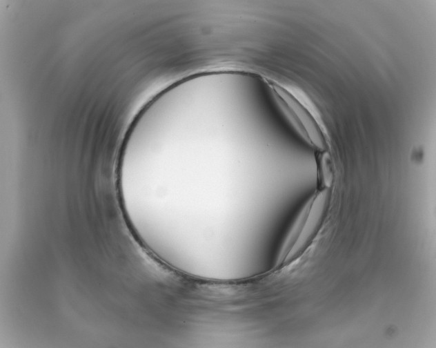 X0000091071197200709041213