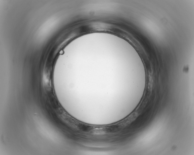 X0000091071198200709041213