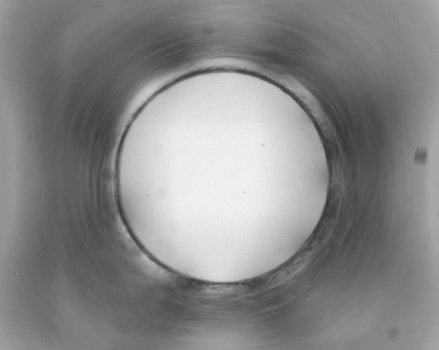X0000091071199200709041213