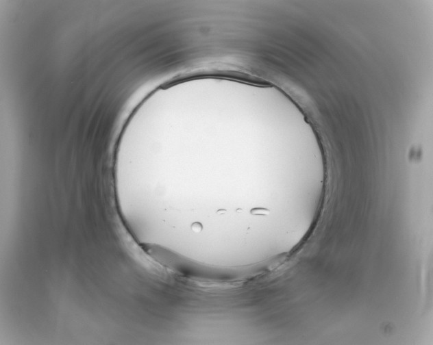 X0000091071200200709041213