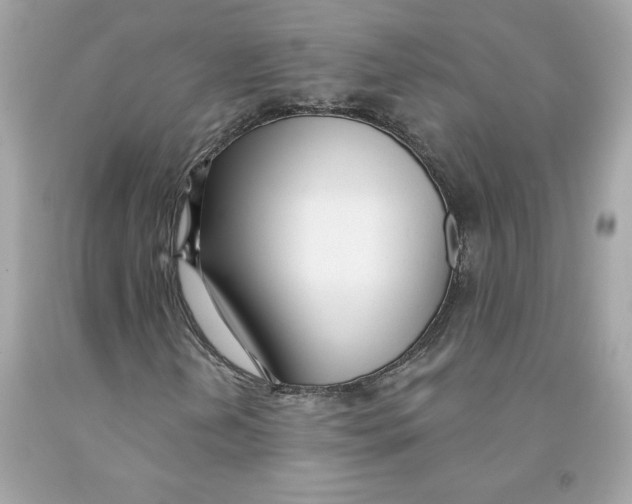 X0000091071202200709041212