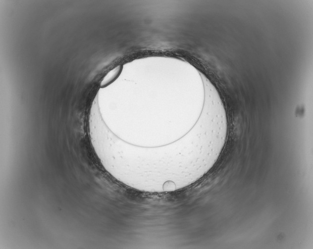 X0000091071205200709041212