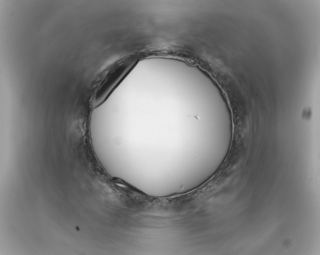 X0000091071206200709041212