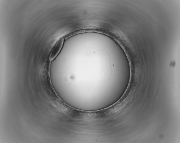 X0000091071210200709041212