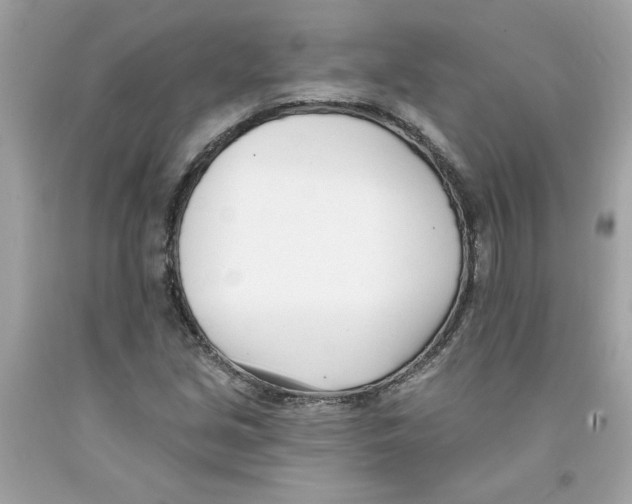 X0000091071213200709041212