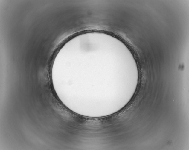 X0000091071215200709041212