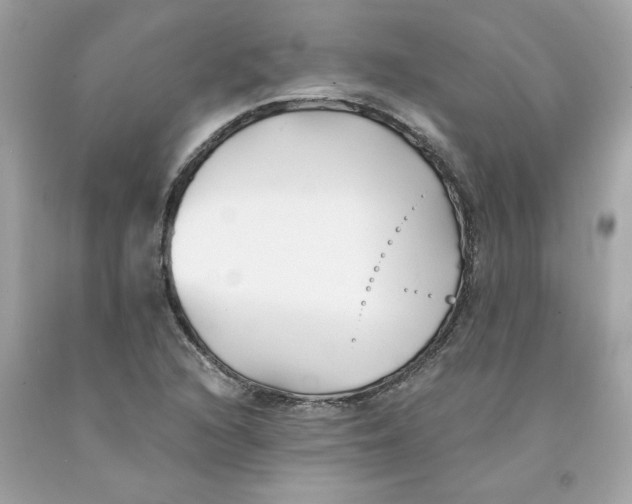 X0000091071216200709041212