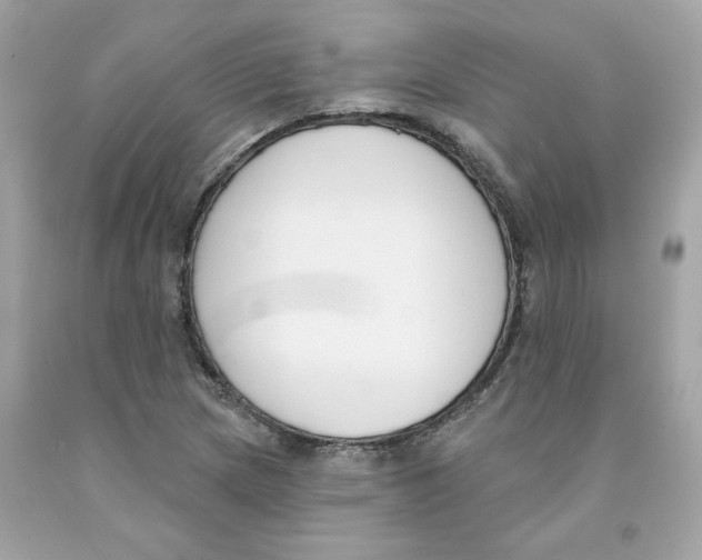 X0000091071217200709041212