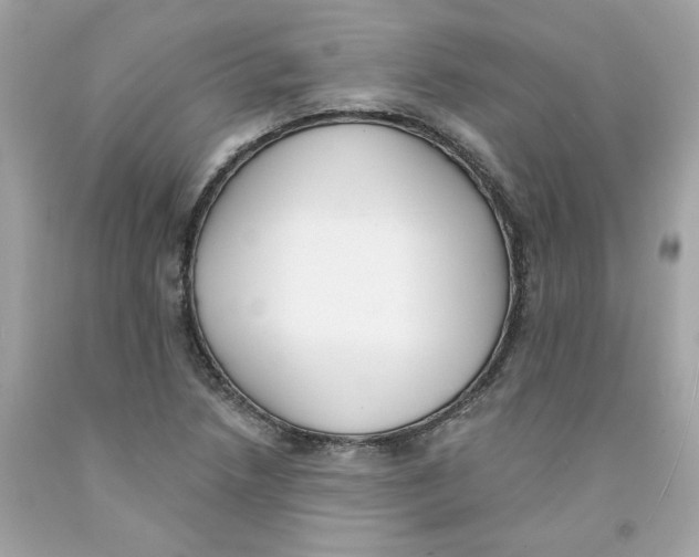 X0000091071218200709041212