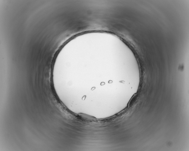 X0000091071220200709041212
