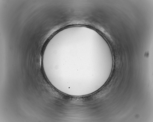 X0000091071221200709041212