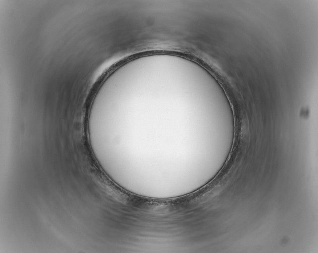 X0000091071222200709041212