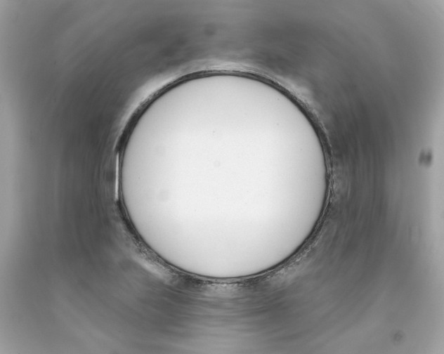 X0000091071223200709041212