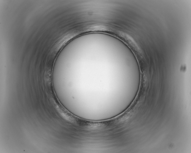 X0000091071225200709041213