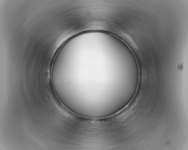 X0000091071226200709041213