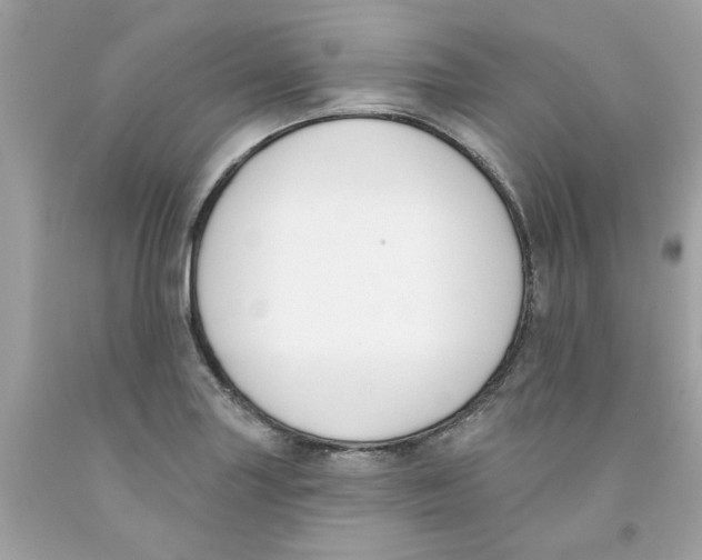 X0000091071227200709041213