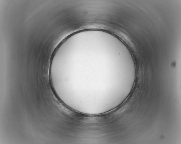 X0000091071228200709041213