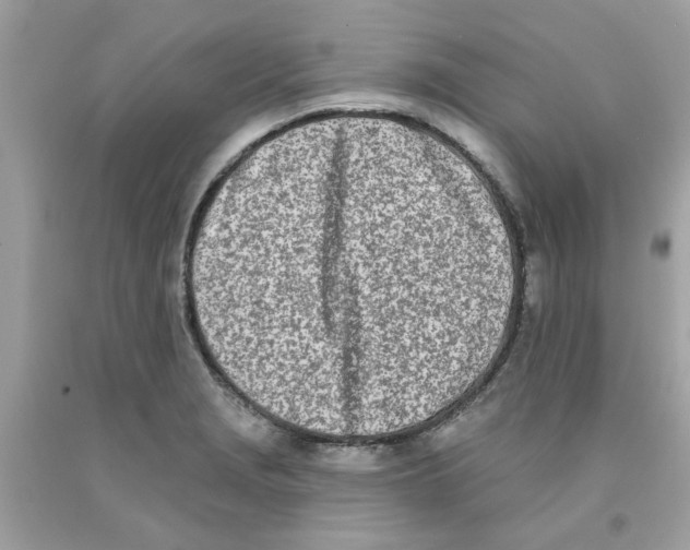 X0000091071229200709041213