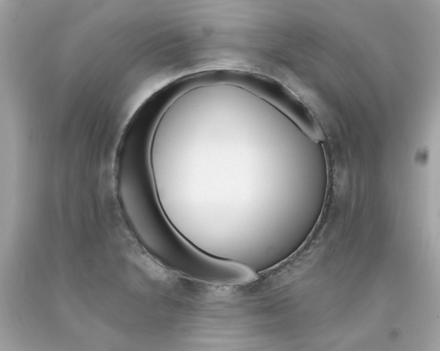 X0000091071230200709041213