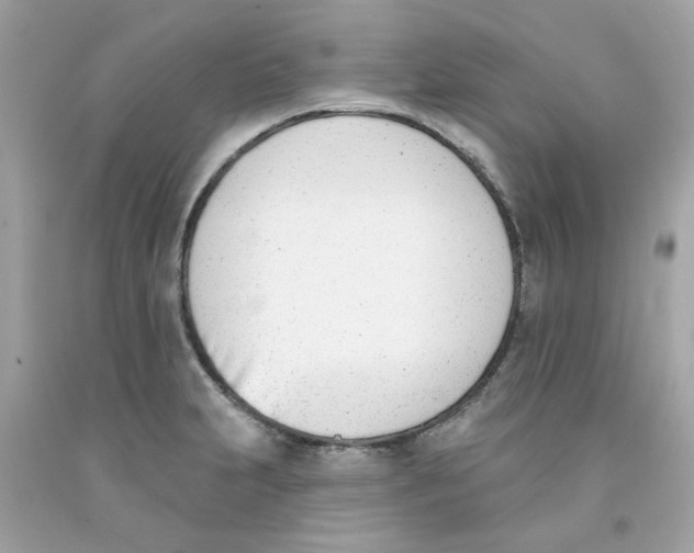 X0000091071231200709041213