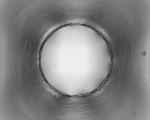 X0000091071232200709041213