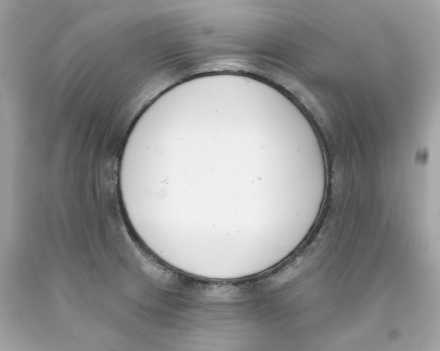 X0000091071233200709041213