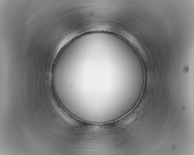 X0000091071234200709041213