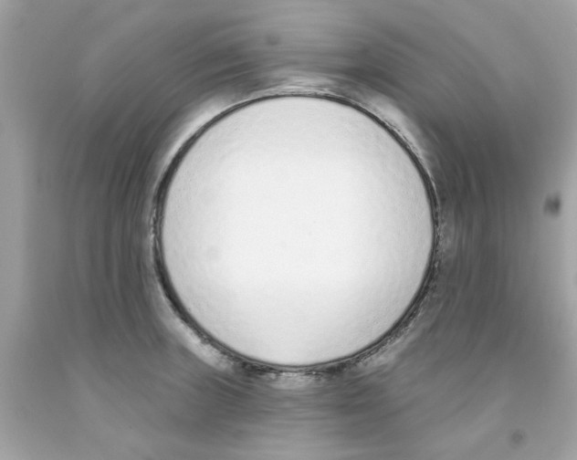 X0000091071235200709041213
